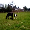 Foto0067