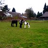 Foto0069